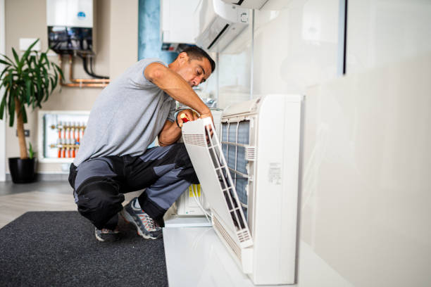 Best Home Air Vent Cleaning  in Bethany, IL